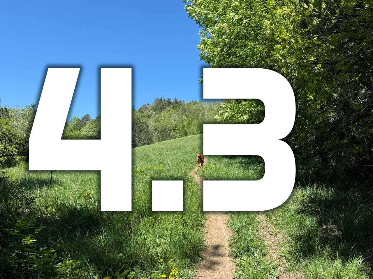 Čaven Vertikal 4,3 km